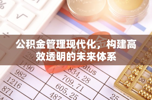 敦化公积金管理现代化，构建高效透明的未来体系