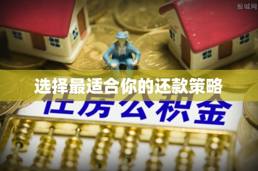 敦化选择最适合你的还款策略
